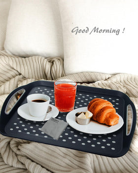 Czlizdyt pet friendly serving tray helps contain kibble and spills