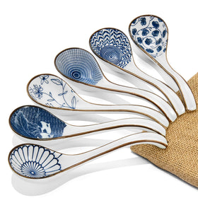 DAHO GOMSU 6pc Asian ceramic spoon set with long handles for easy gripping