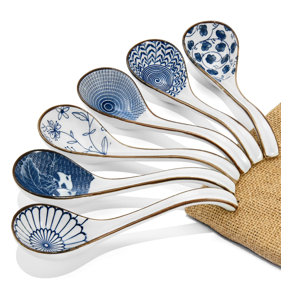 DAHO GOMSU 6pc Asian ceramic spoon set with long handles for easy gripping