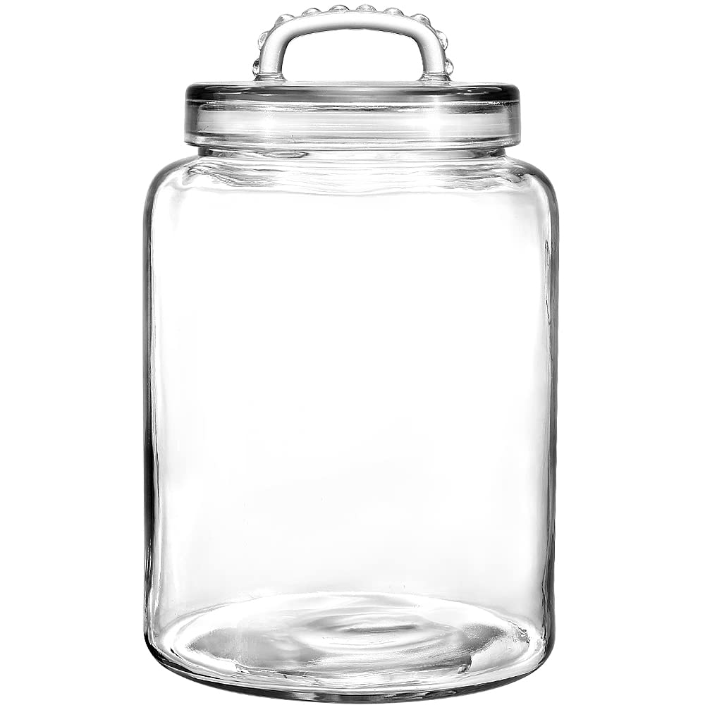 Daitouge 3-gallon glass jar with lid on a countertop for easy storage