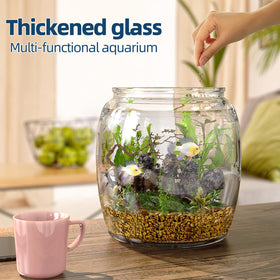 Daitouge glass jar on counter adds stylish storage to kitchens.