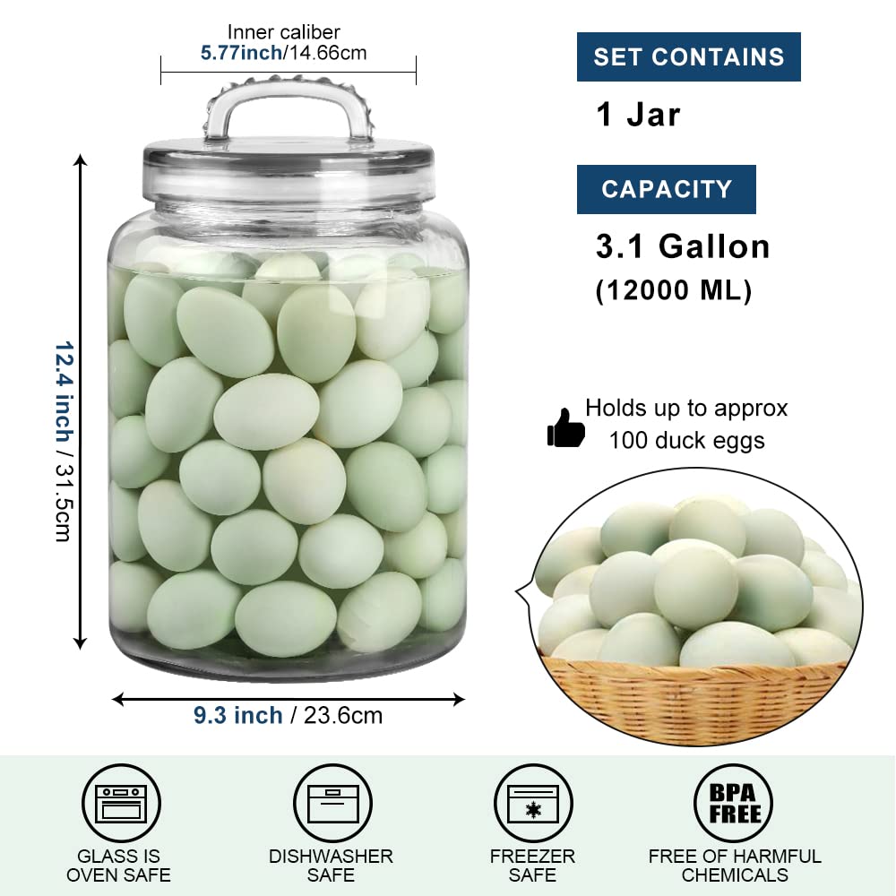 Daitouge large-cookie-jar-capacity ideal for cookies and bulk items