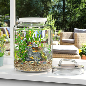 Transparent Daitouge glass storage canister displaying contents clearly