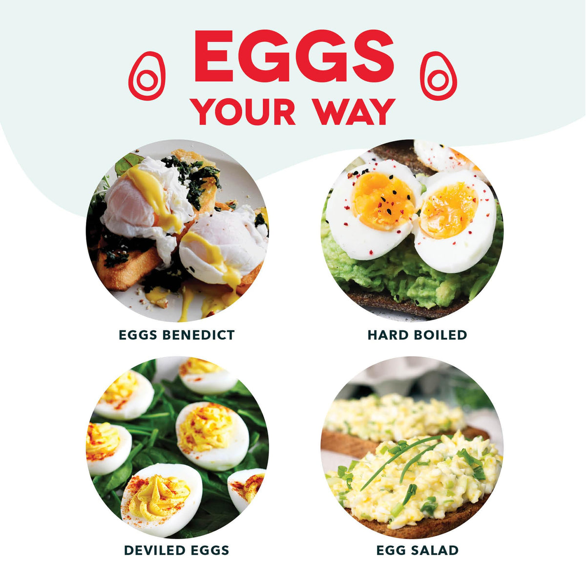 DASH Rapid Egg Cooker compact design fits any kitchen