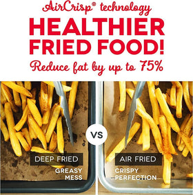 DASH Tasti-Crisp Air Fryer recipe guide included for experimentation.