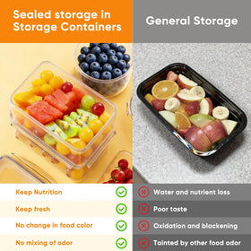 Dayacoco rectangular, square, and round sizes fit various foods