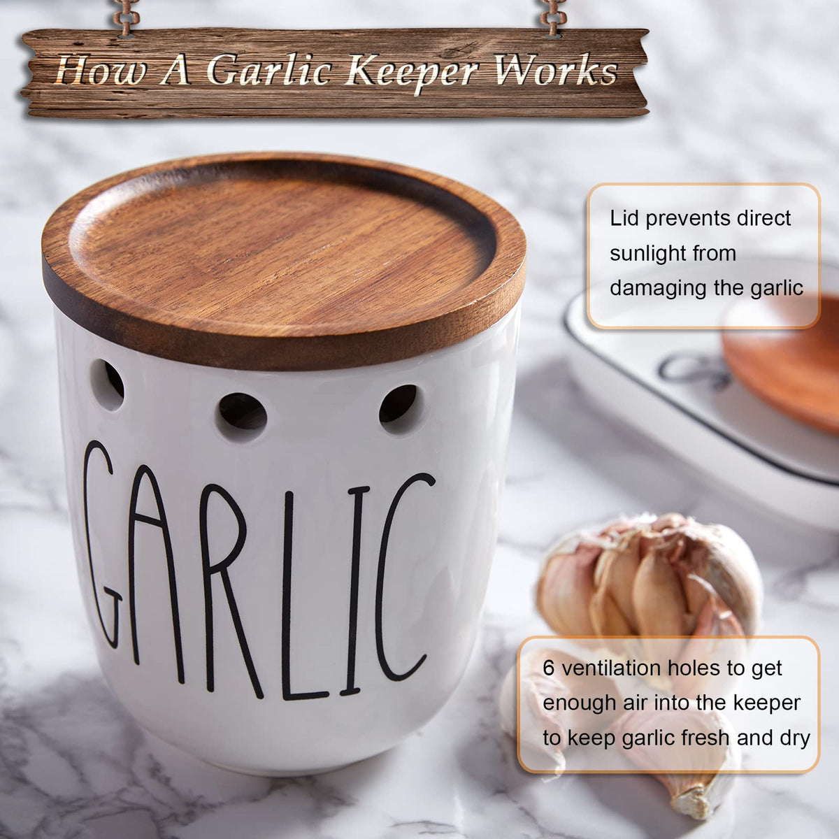 DAYYET Garlic Keeper ventilation holes promoting airflow for dry storage.