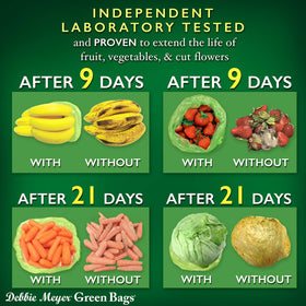 BPA-free Debbie Meyer GreenBags proudly made in the USA