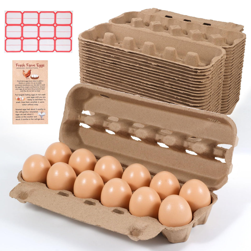 DecarDamai egg carton with secure front clasp for safe transport.