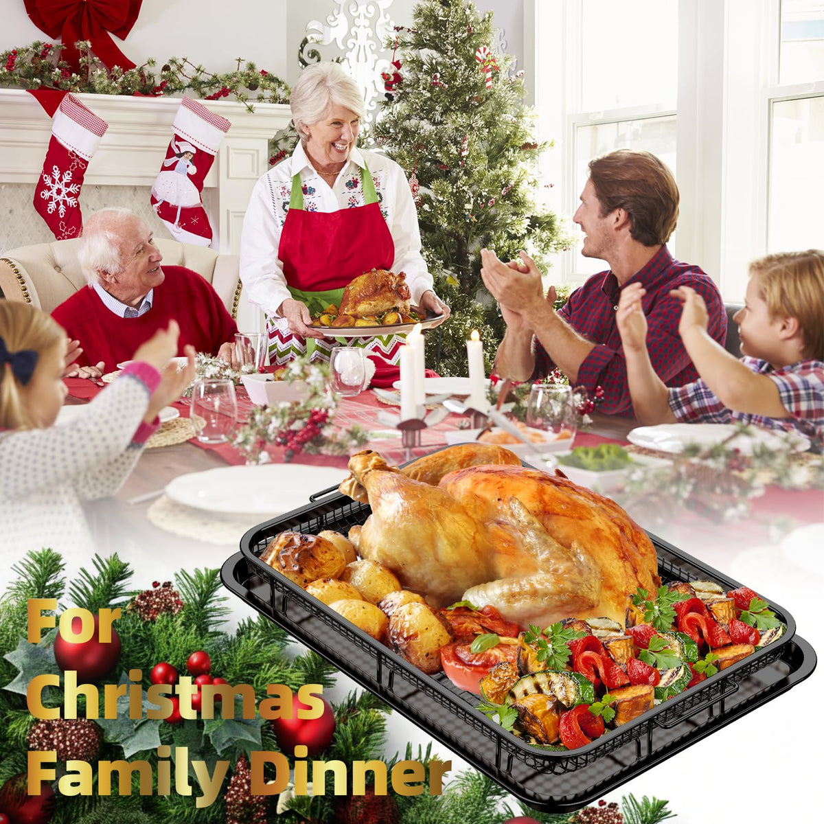 DEGOVIN crisper tray demonstrates even heat circulation for browning
