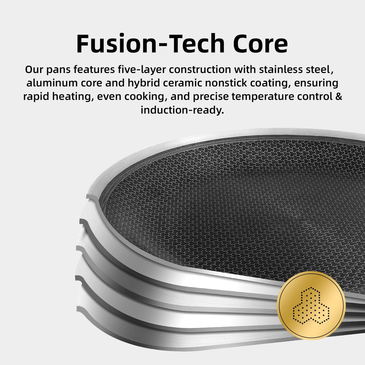 DELUXE 12-inch fry pan with lid for larger dishes