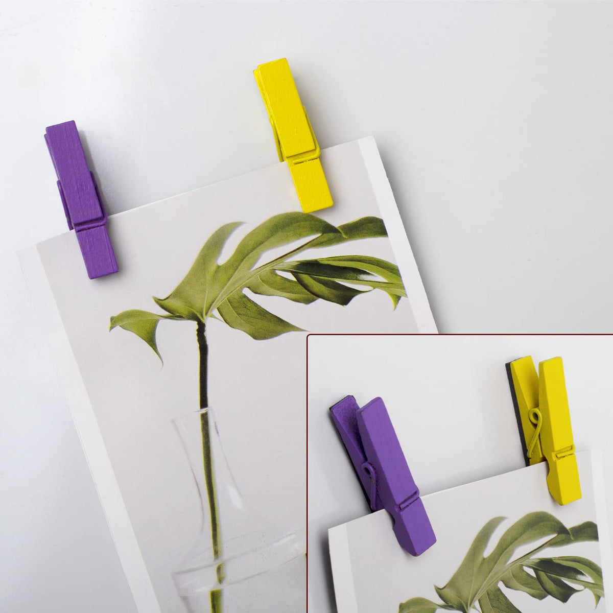 Deoot wooden clip magnets with soft back magnets protect surfaces