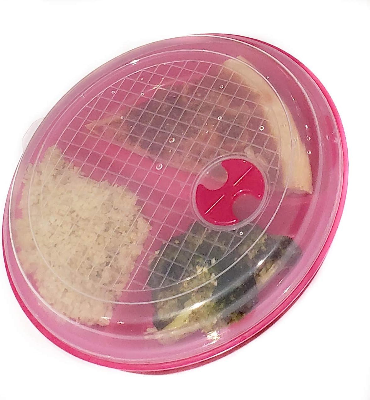 Dependable Essentials meal prep setup with three compartments for organized portions.