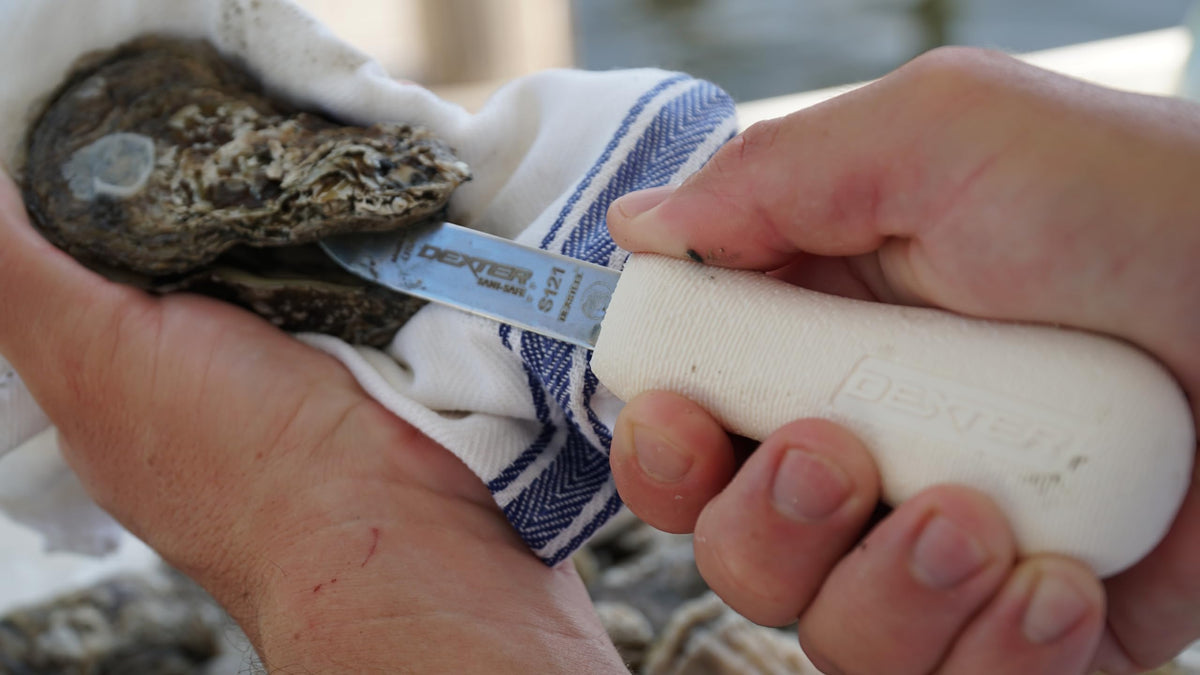 Dexter-Russell oyster knife in use at a seafood station demonstrates durability.