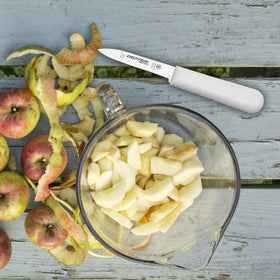 Dexter-Russell Sani-Safe paring knives slip-grip handles ensure secure control when wet