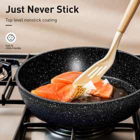 DishDelight induction compatible cookware for fast, even heating on compatible stoves