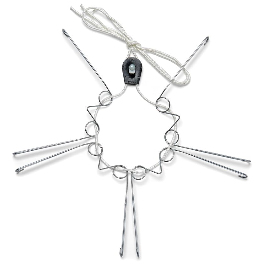 Display Buddie XL wall plate hanger securely showcases large plates indoors or outdoors.