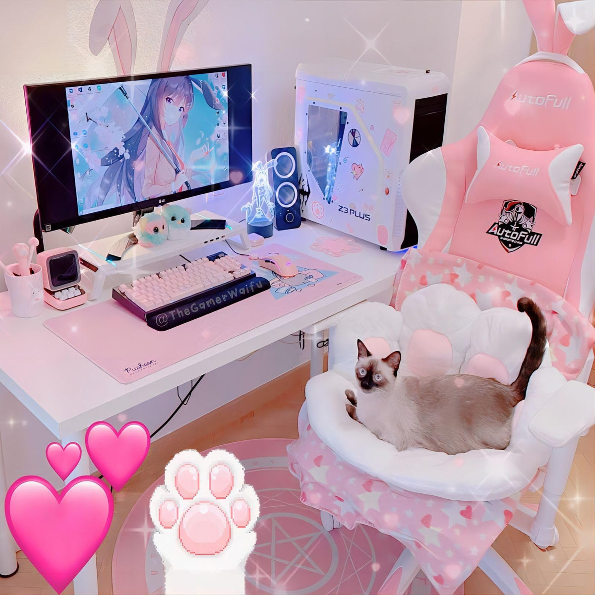 Ditucu Cat Paw Cushion on an office chair supporting posture