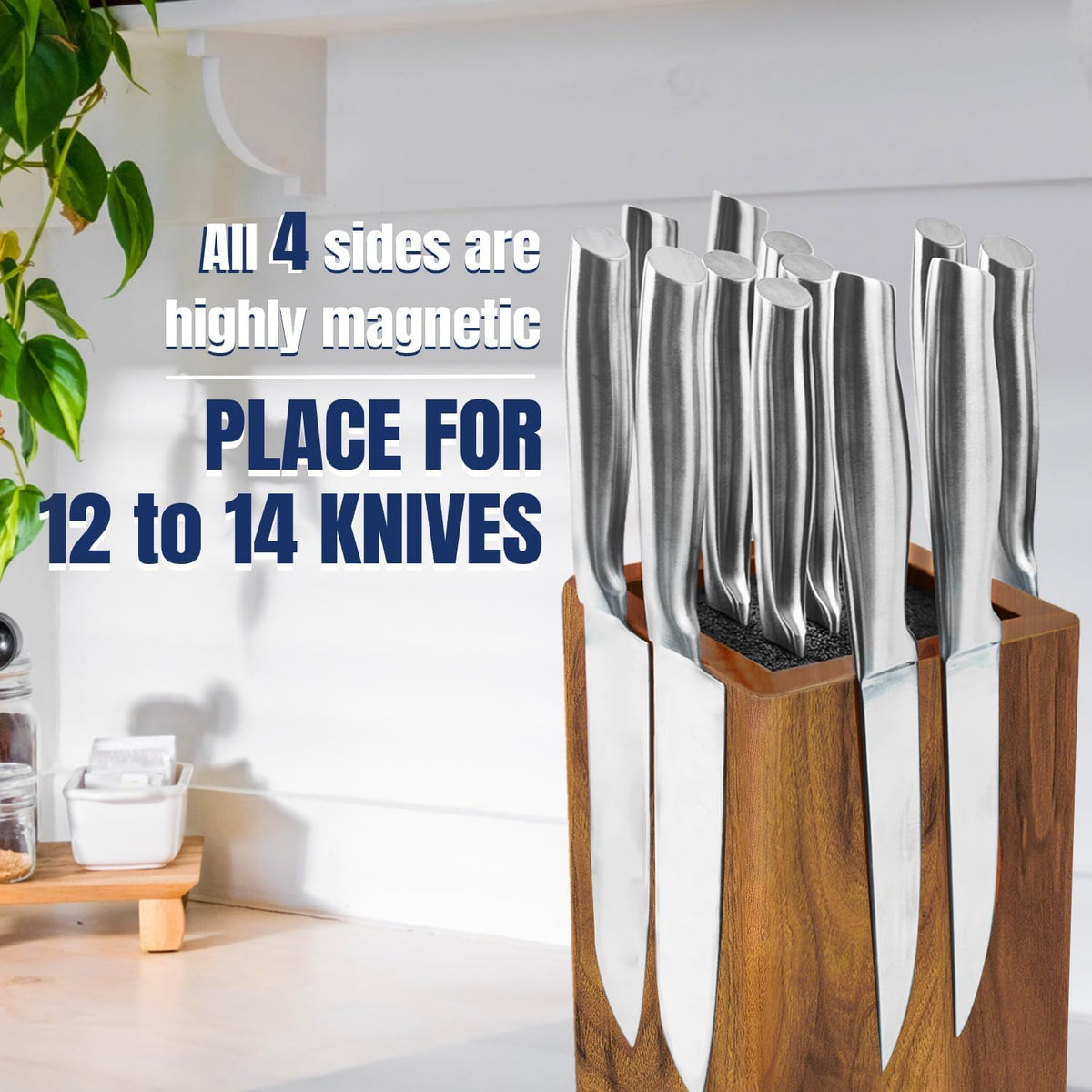 Dmore acacia wood knife block closeup showing premium blade-friendly finish