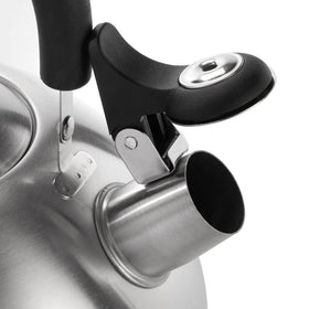 Dominion 2.1 qt capacity suits multiple cups of tea.