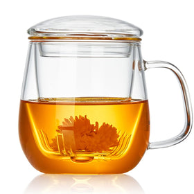 DOPUDO glass tea cup with infuser and lid for easy one-person brewing.