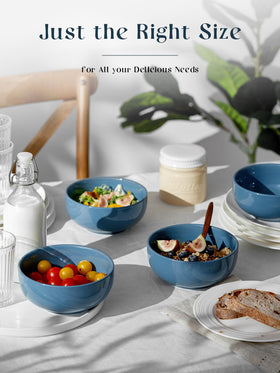 DOWAN chip-resistant porcelain bowls — durable everyday use.
