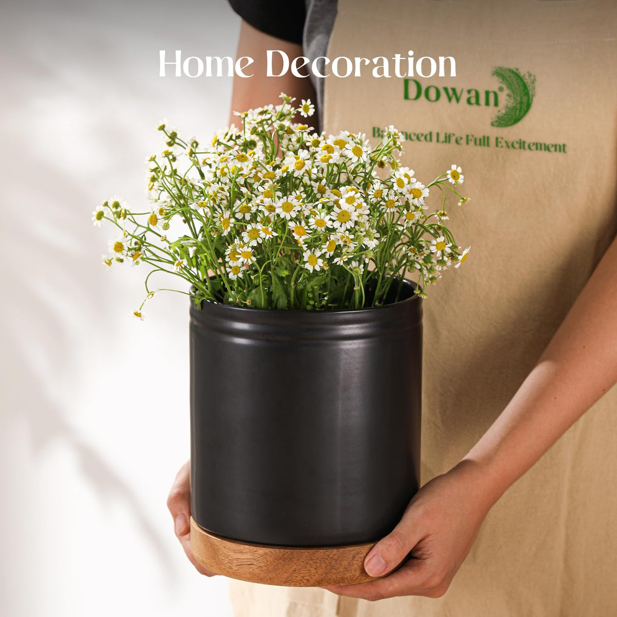 DOWAN versatile holder used as planter or vase to fit decor.