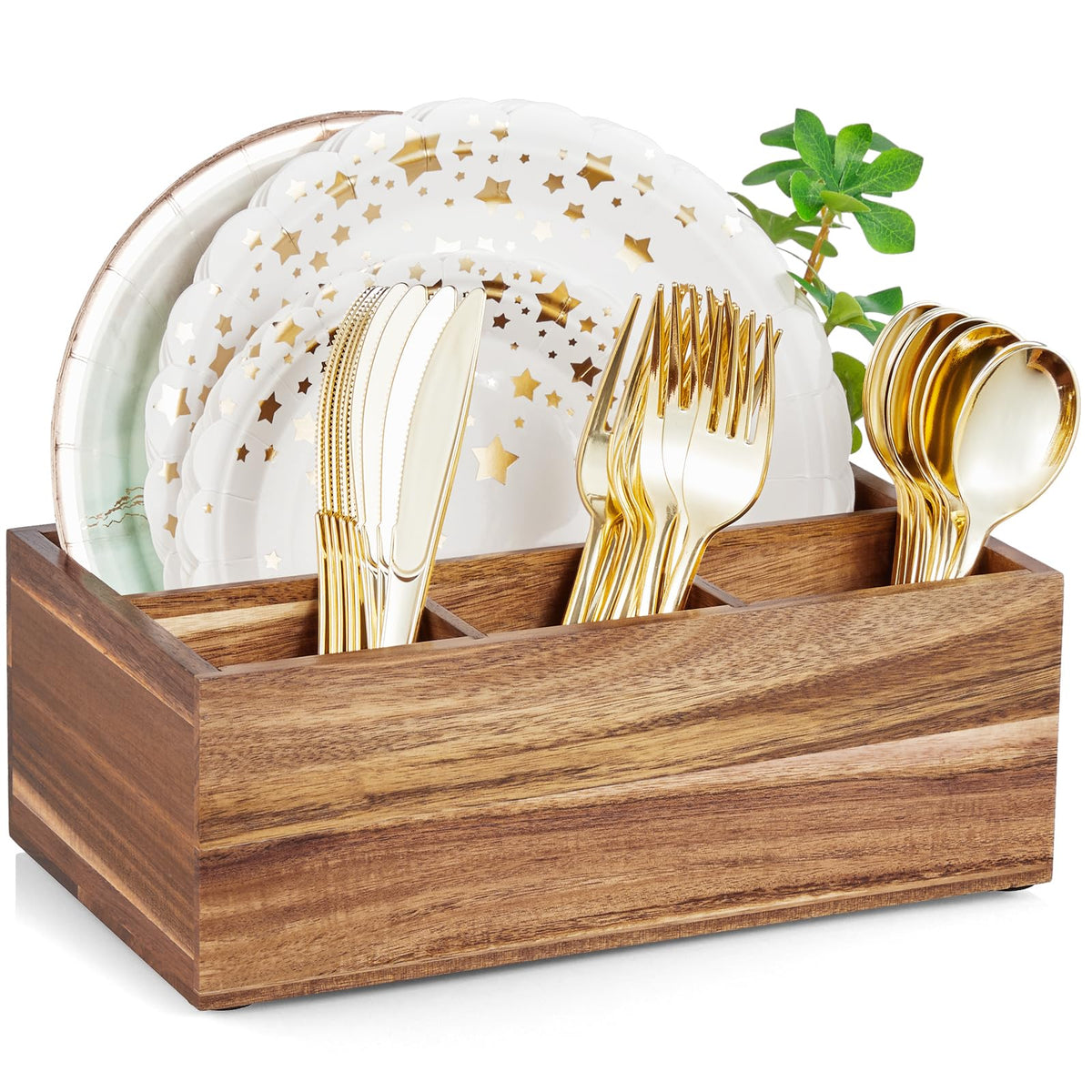 DRASTAR paper plate dispenser in acacia wood, front view showing organized plates.