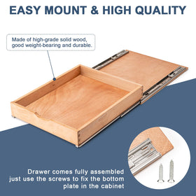 Draworia moisture-resistant coating resists humidity in bathroom and kitchen contexts