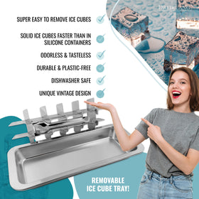 Dreiklang be smart dishwasher-safe ice tray for easy cleaning