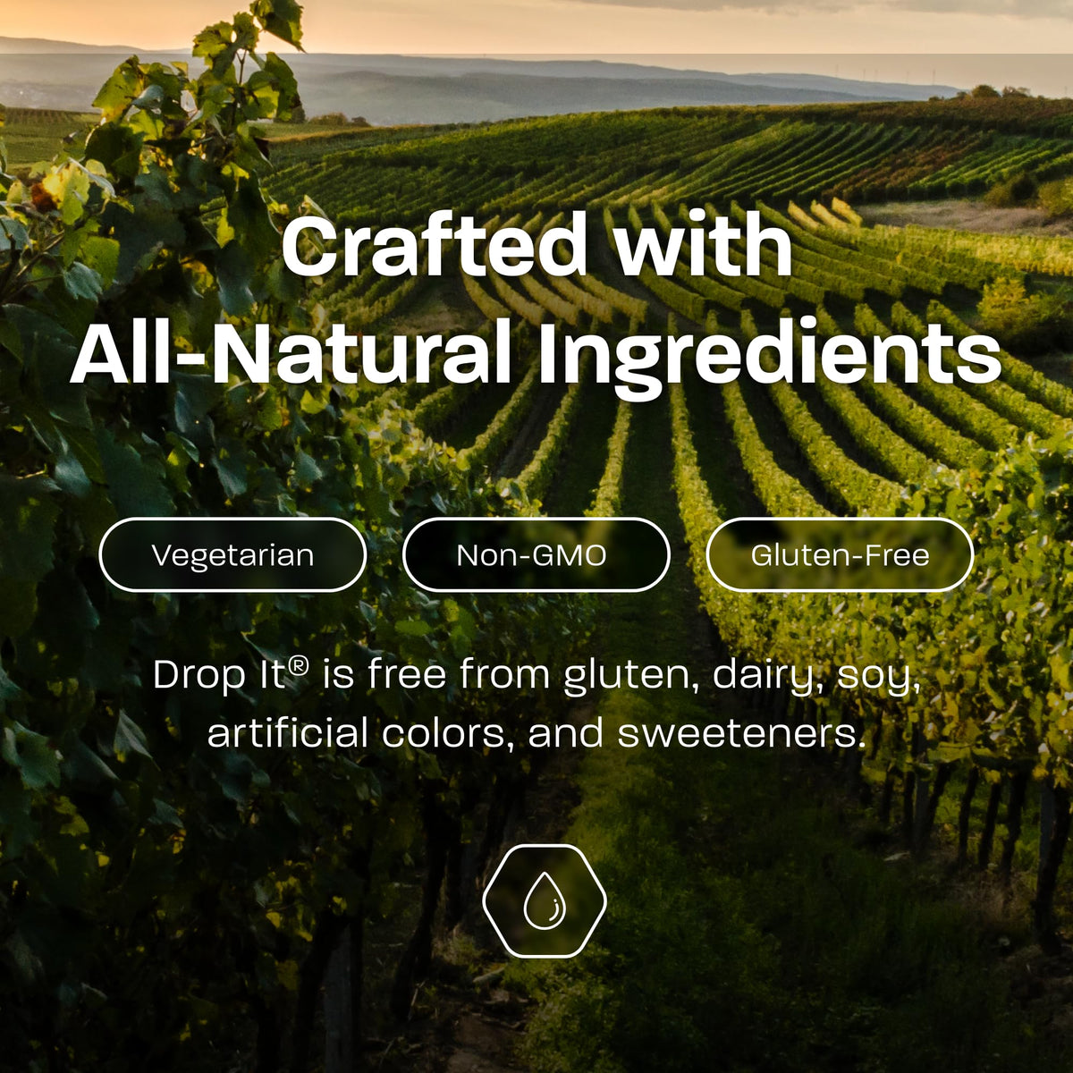 Drop It USA-made lab-tested wine drops ensuring quality.