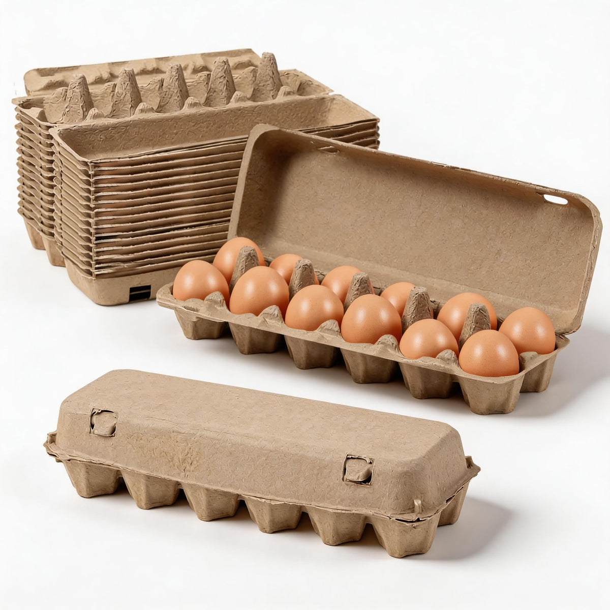 Dubtnion egg cartons holding 12 eggs per carton for bulk storage.