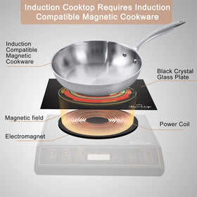 Duxtop 9120MC magnetic-bottom cookware ensures reliable induction heat transfer.