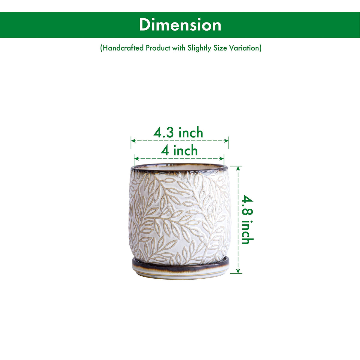 D'vine Dev planter with drainage hole and saucer for tidy water management
