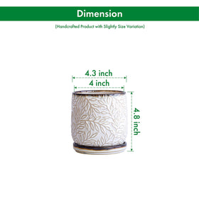 D'vine Dev planter with drainage hole and saucer for tidy water management