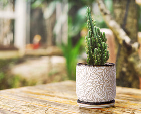 D'vine Dev smoked white finish adds timeless style to any space