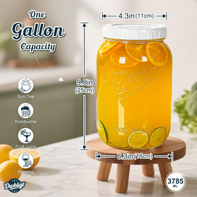 Dwbligt airtight lid with silicone gasket ensures fresh contents.