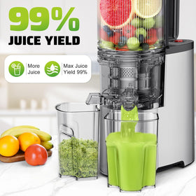 Sleek silver finish on EanOruus cold press juicer.