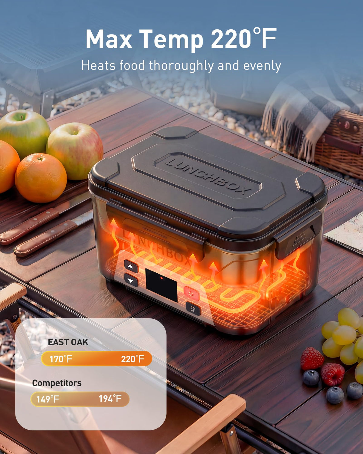 EAST OAK one-point-three-liter capacity with divider for organized meals.