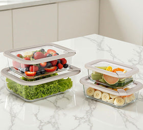 EcoEvo glass lid with grey silicone frame sealing a container