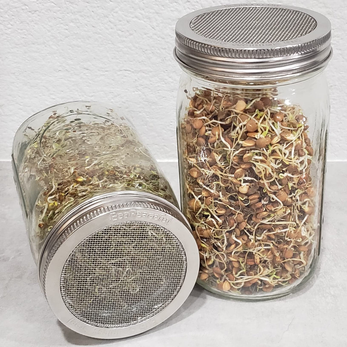 Durable 316 stainless steel lid resists rust and lasts through frequent use.
