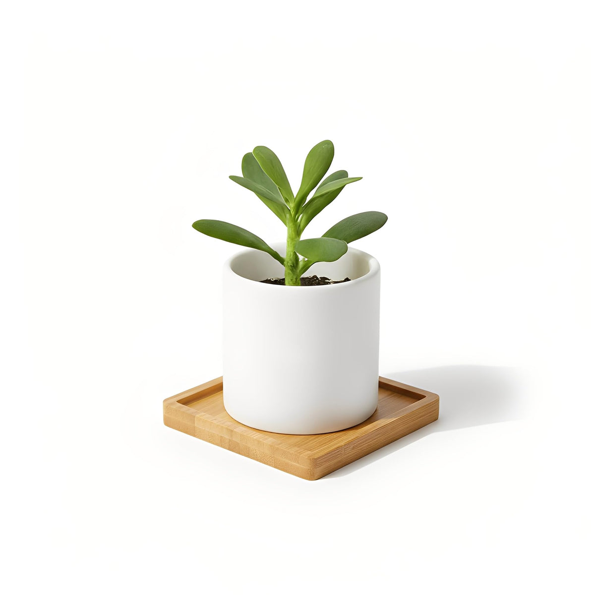 EHR square coasters with 3.54-inch size and raised edge for stability.