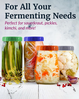 Elementi fermentation weight Ball jars compatibility enhances wide-mouth pickling setup