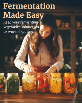 Elementi fermentation weight dishwasher safe for quick, hygienic cleanup