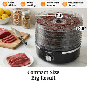 Elite Gourmet EFD319 clear trays enable progress monitoring without heat loss.