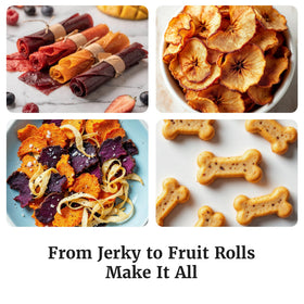 Elite Gourmet EFD319 fruit chips dehydration for healthy snacks.