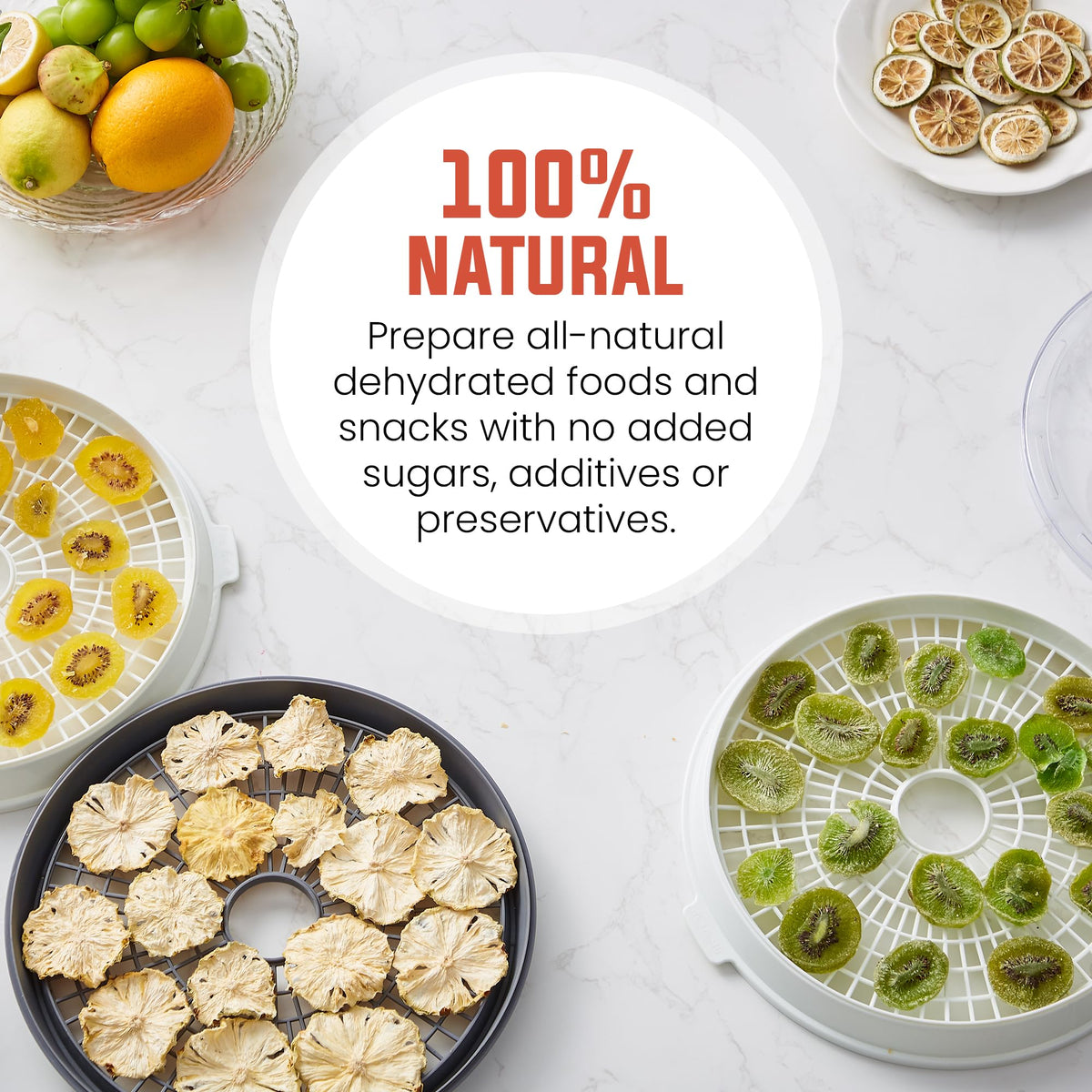 Elite Gourmet EFD329WD using preset temperatures for healthy snacks