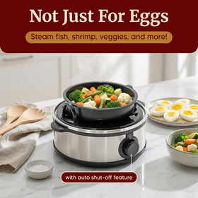 Elite Gourmet EGC648 omelet-tray creates fluffy veggie omelets quickly.