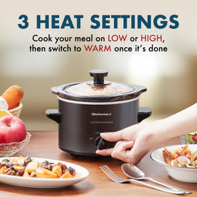 Elite Gourmet MST-250XBX lid and control panel highlighting precision controls
