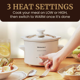 MST-250XW keeping food warm setting highlighted for convenience